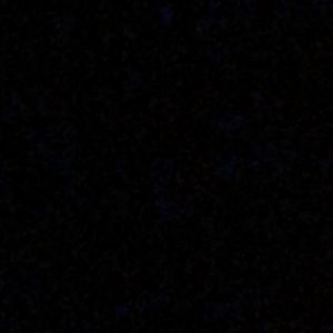 Meet your Posher, Delano